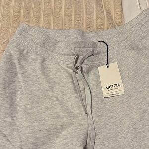 Aritzia Gray Joggers
